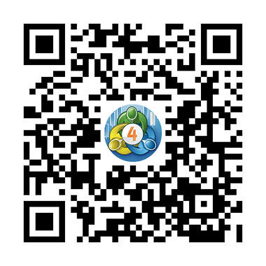 Download the MT4 Mobile App